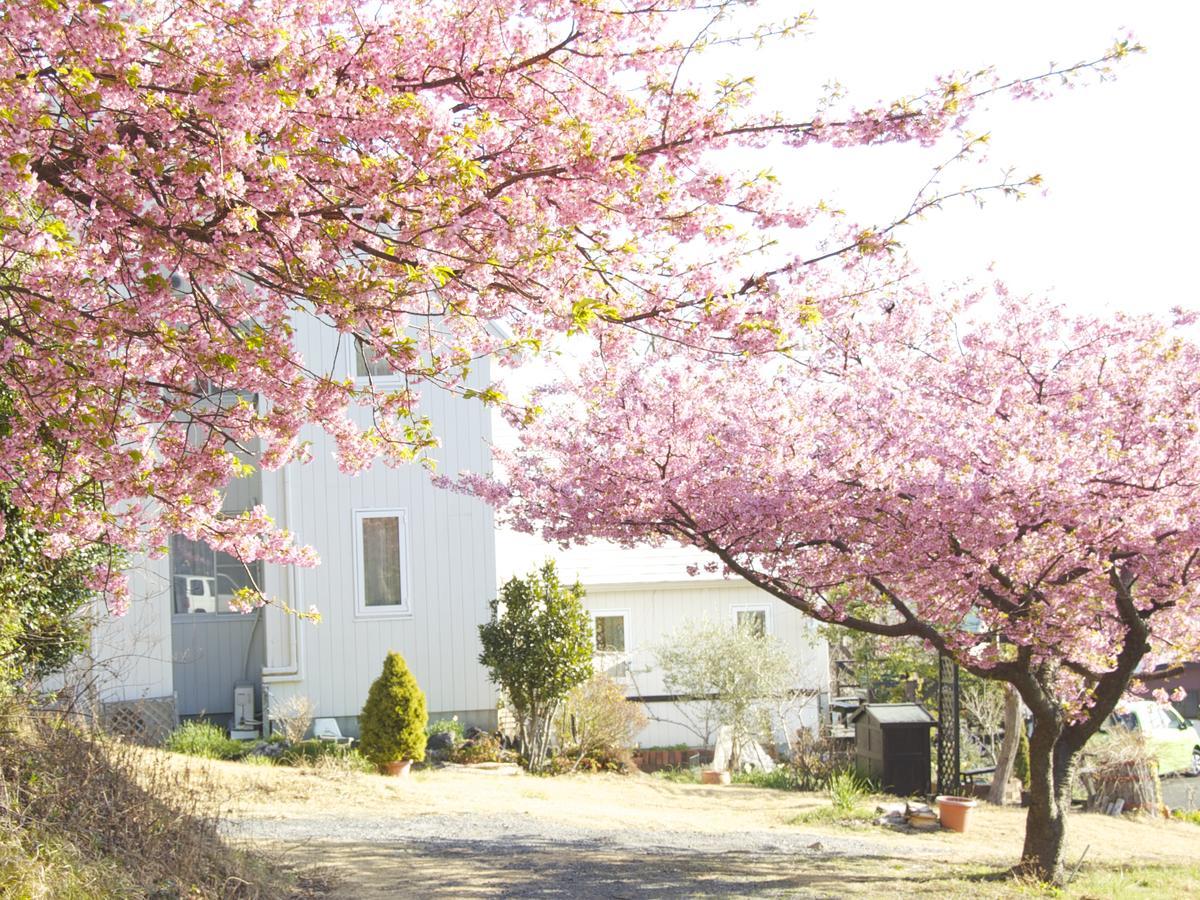 Country Inn Galley Ito (Shizuoka) Exterior foto